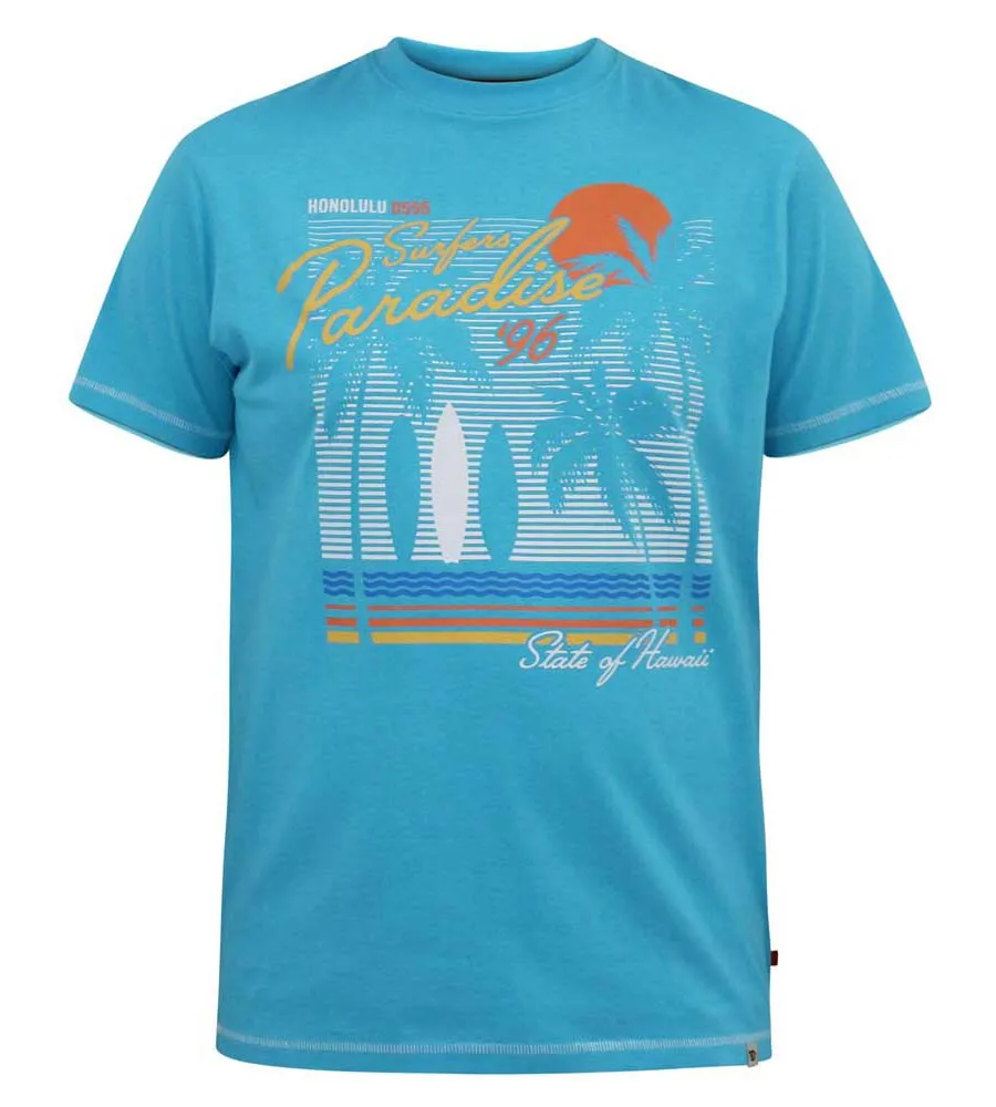 D555 Big Mens Surfers Paradise Printed T-Shirt (AARON)