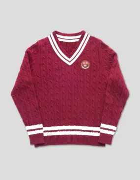 V NECK CRICKET SWEATER - HARVARD